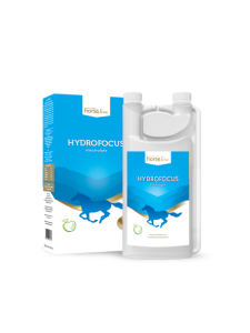 HorseLinePro- HydroFocus Elektrolyte 1000ml