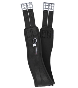 popręg 120101-1.png