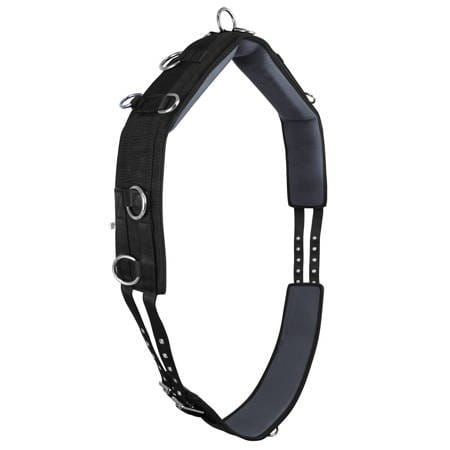 Pas do lonżowania York czarny