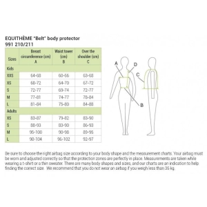 equitheme-belt-body-protector (1).jpg