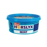 Horslyx Mini Mint- lizawka w pojemniku 650g