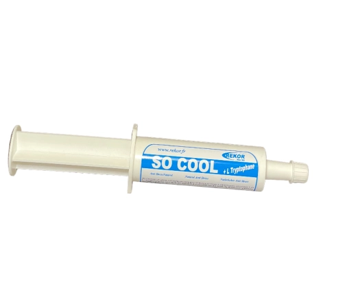 Rekor- SO COOL, strzykawka 60ml