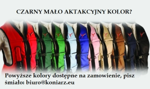 Dostępne kolory na zamówienie.png